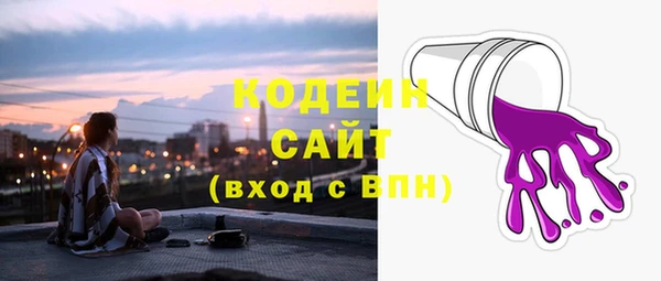 молекула духа Богородицк