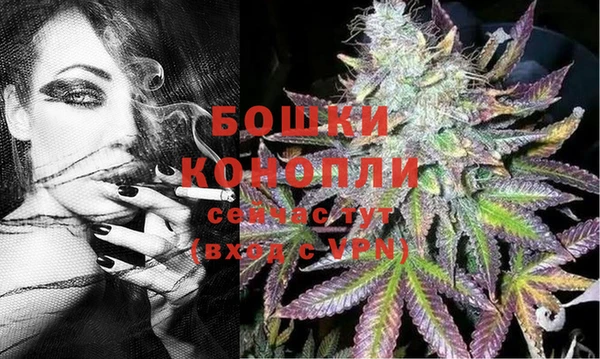 гидра Переславль-Залесский