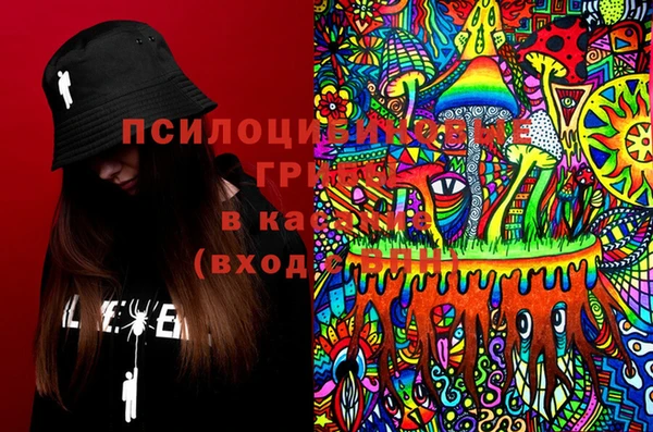 молекула духа Богородицк