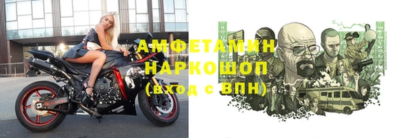 молекула духа Богородицк
