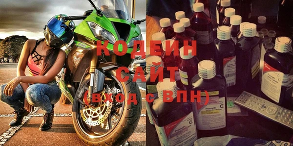 молекула духа Богородицк