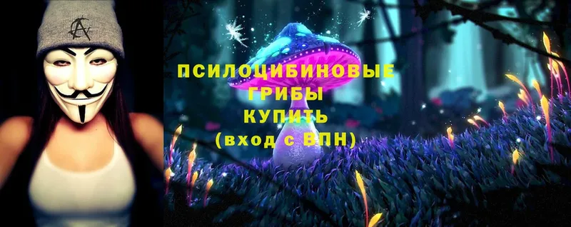 Галлюциногенные грибы Magic Shrooms  Воскресенск 